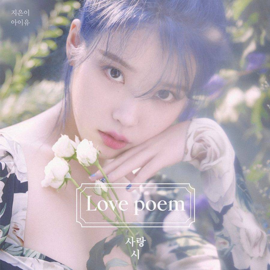  아이유 앨범들.jpg | 인스티즈