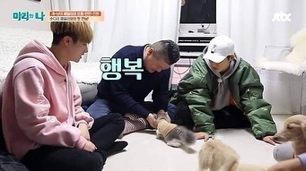 고양이도 손 달라는 말 알아들어요.jpg | 인스티즈