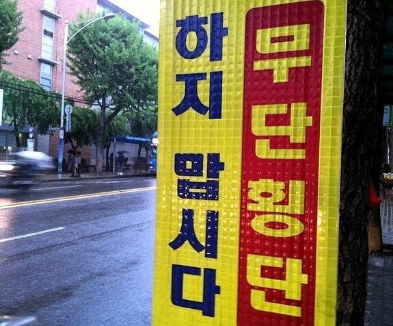 운전자 반응속도 레전드.GIF | 인스티즈