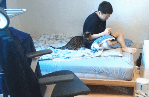 2020년 첫 고양이 첵스 | 인스티즈