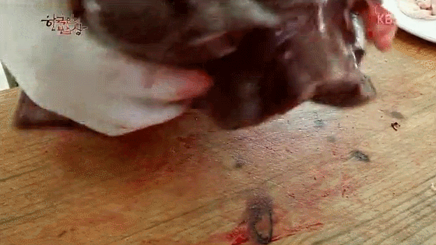 한국인의 밥상 소고기.jpg (혐오주의) | 인스티즈