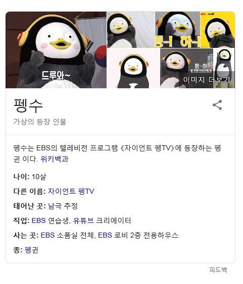  2019년 연예 핫 스타 5인 | 인스티즈