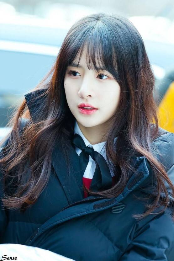 2020년 새해 첫 설아 | 인스티즈