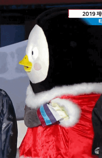 까불거리다가 모자 벗겨진 펭수.gif | 인스티즈