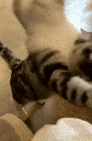 캔 따주세요 캔.gif | 인스티즈