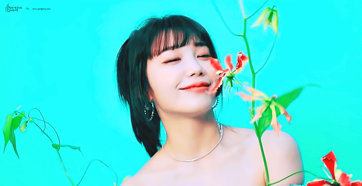 뭐가 꽃이고 누가 에이핑크 정은지 인지.gif | 인스티즈