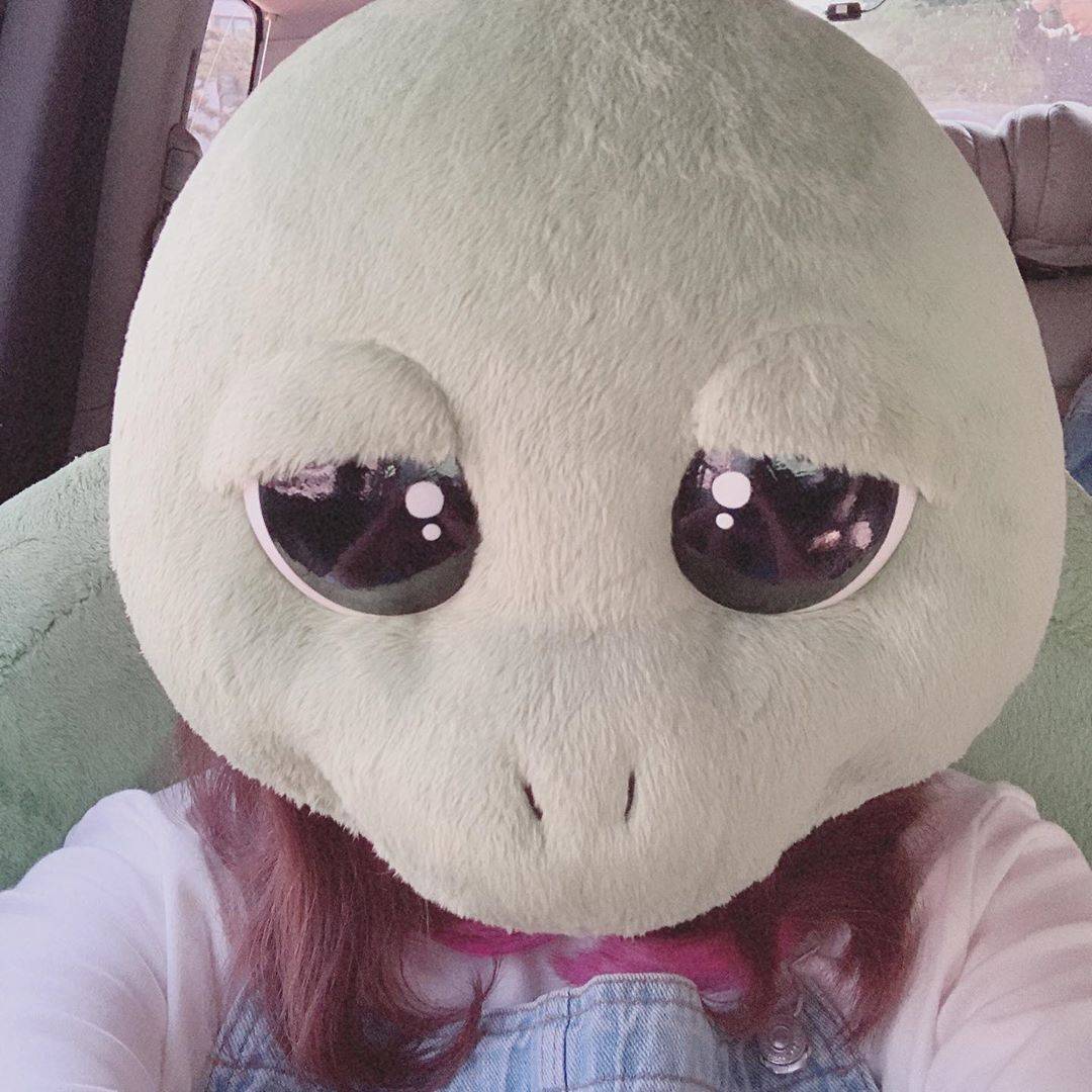 오늘자 위키미키 유정이 인스타그램.jpg | 인스티즈