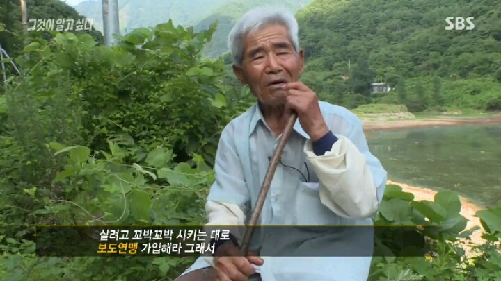 [그알] 보도연맹 학살 사건 | 인스티즈