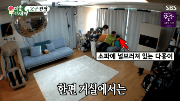 [미우새] 완전 개냥이인 박수홍네 고양이 다홍이 | 인스티즈