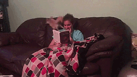 가만히 있지를 못하는 사막여우.gif | 인스티즈