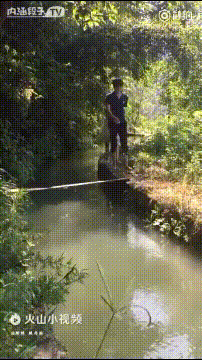 외나무다리 건너는 커플.gif | 인스티즈