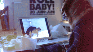 야동보다가 들킨 댕댕이 | 인스티즈