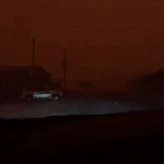 최악의 호주 산불 | 인스티즈