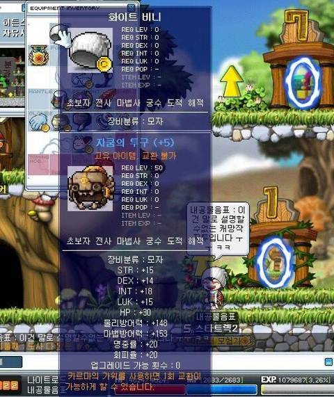 2000년대 추억의 메이플스토리"아이템" | 인스티즈