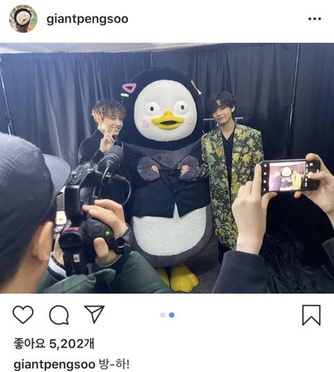 펭수 인스타그램 업뎃 (feat.방트) | 인스티즈