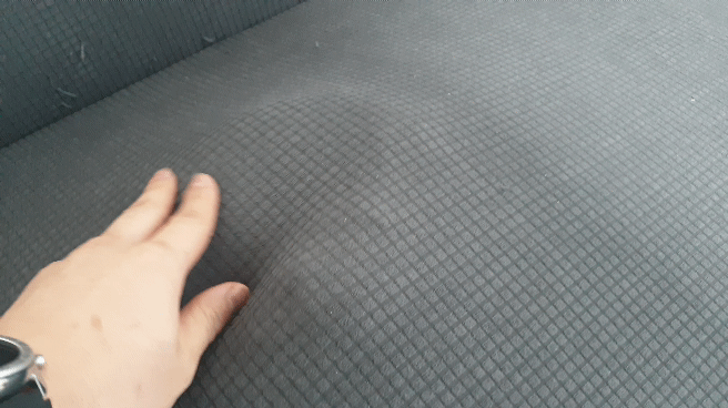 집 나간줄 알았던 고양이 | 인스티즈