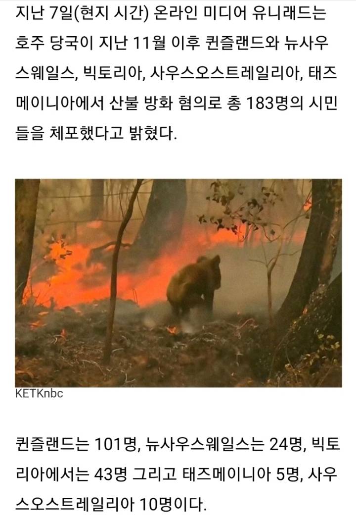 호주 초대형 산불은 방화범 300명이 만들어낸 인재 | 인스티즈