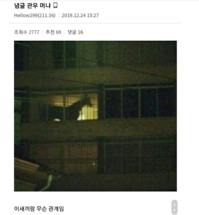 우리 아파트 앞집에 관우 사는거같다.jpg | 인스티즈