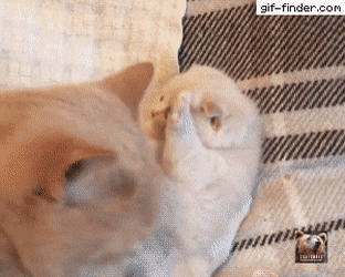 술한잔 하고 집에오신 아빠 | 인스티즈