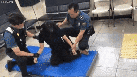 경찰의 만취여성 대응방법gif | 인스티즈