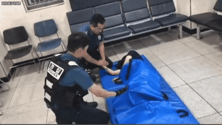 경찰의 만취여성 대응방법gif | 인스티즈