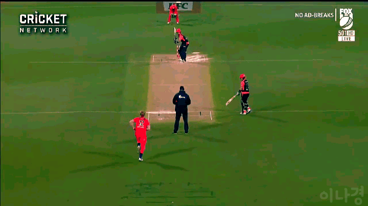 크리켓에서 나온 아찔한 장면 gif | 인스티즈