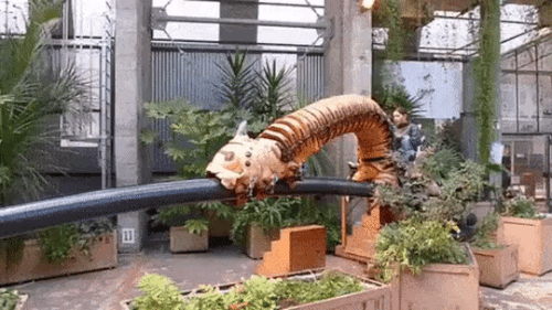 한국 사람들은 못타는 놀이기구.gif | 인스티즈