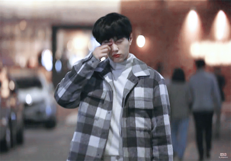 [어서와] 사람 아니고 고양이 X 강아지 아니고 사람.gif | 인스티즈