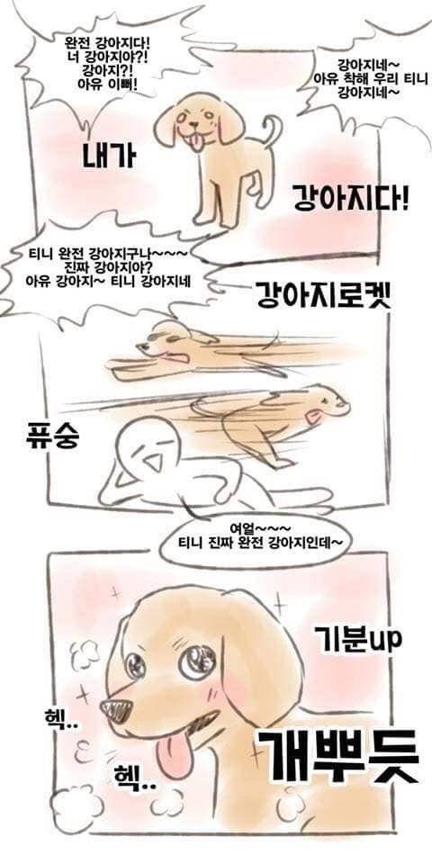 늘어진 강아지 기분 띄워주기 .jpg | 인스티즈