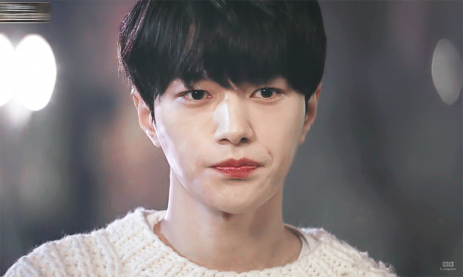 [어서와] 사람 아니고 고양이 X 강아지 아니고 사람.gif | 인스티즈