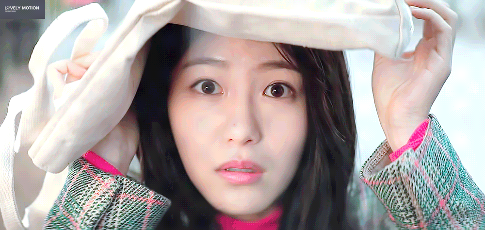 [어서와] 사람 아니고 고양이 X 강아지 아니고 사람.gif | 인스티즈