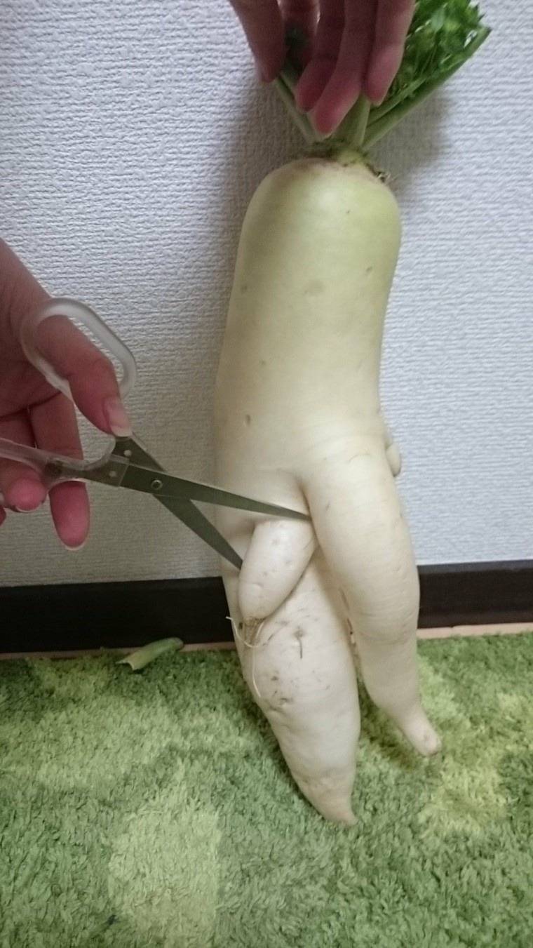 이거 진짜 너무하는거 아닌가요? | 인스티즈