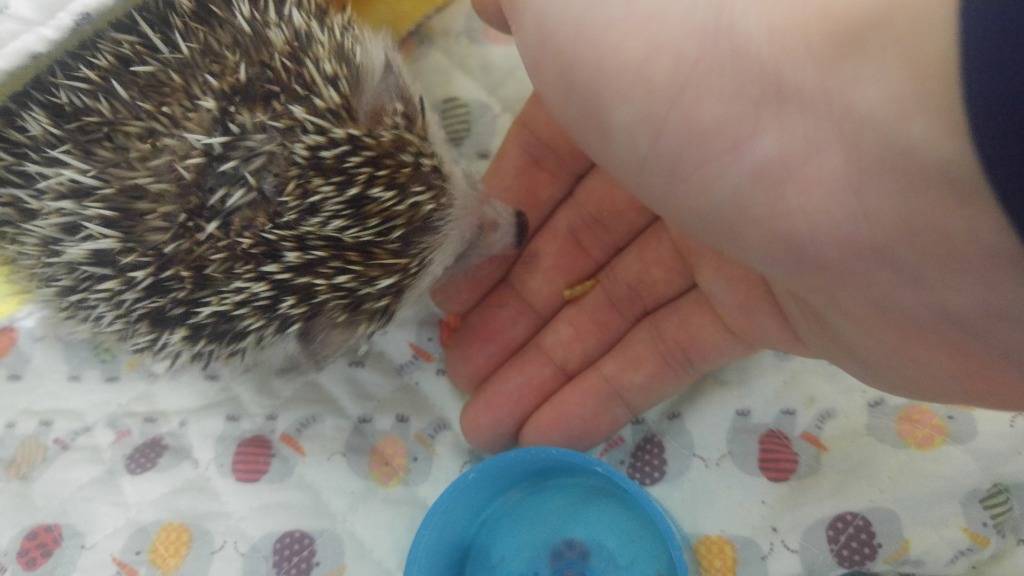 구름이외다 | 인스티즈