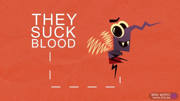 슬슬 걱정되기 시작하는 이 놈에 대해 자세히 알아보자.jpg | 인스티즈