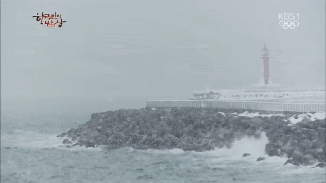 한국인의 밥상 속초 억울한 홍게편 | 인스티즈