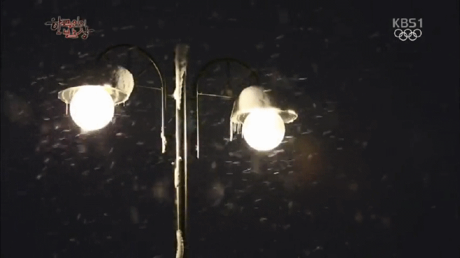 한국인의 밥상 속초 억울한 홍게편 | 인스티즈