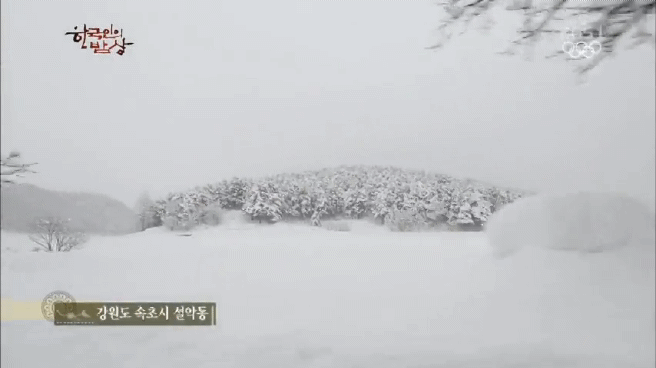 한국인의 밥상 속초 억울한 홍게편 | 인스티즈