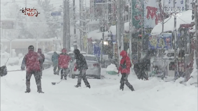 한국인의 밥상 속초 억울한 홍게편 | 인스티즈