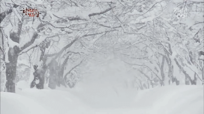 한국인의 밥상 속초 억울한 홍게편 | 인스티즈