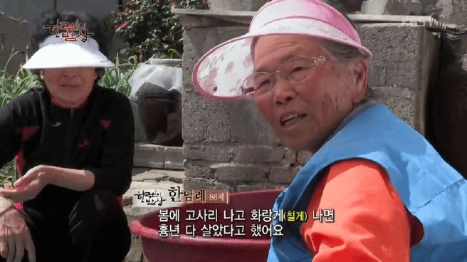 한국인의 밥상 봄, 꽃보다 게편 | 인스티즈