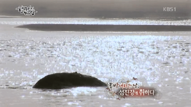 한국인의 밥상 섬진강편 | 인스티즈