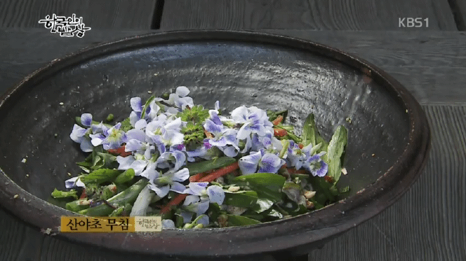 한국인의 밥상 섬진강편 | 인스티즈