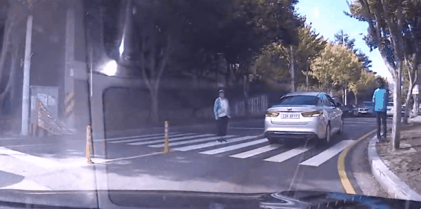 횡단보도 앞에 정지하는 차량을 향해 인사하는 사람들 | 인스티즈