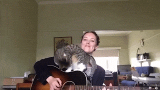 기타치는 집사와 고양이 | 인스티즈