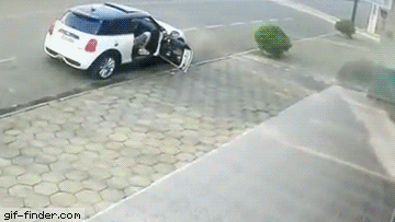 판단은 구린데 민첩성은 좋음 | 인스티즈