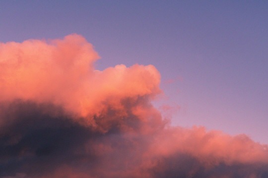  떠나서 돌아오지 마라 | 인스티즈