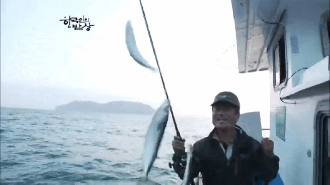 한국인의 밥상 고등어편 | 인스티즈