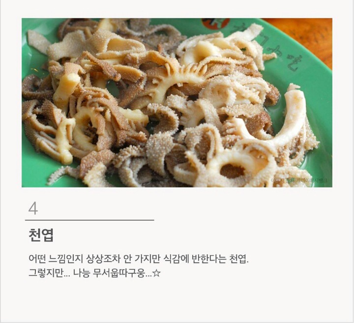 맛있다고는 하는데 절대 못 먹겠는 음식 12가지 | 인스티즈