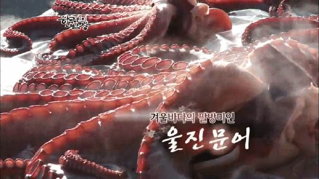 한국인의 밥상 울진 문어편 | 인스티즈