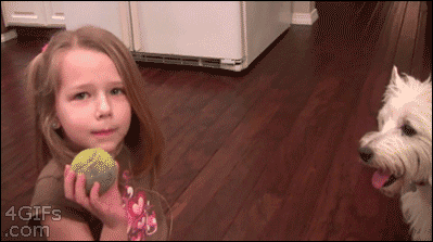 유치 빼주는 댕댕이 | 인스티즈